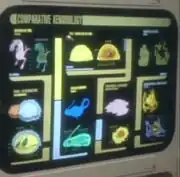 Comparative Xenobiology