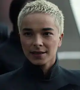 ...as a Palace soldier