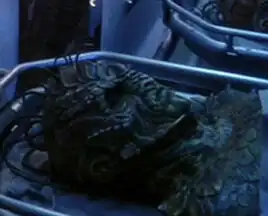 Damron's body in Enterprise's morgue