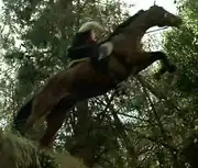 David Wendler, Generations