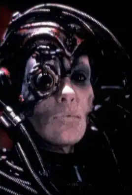 Debra Dilley, Descent