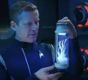 Delta2 terraforming mycelium strain