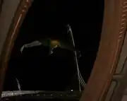 Dukat's Bird-of-Prey leaves DS9