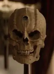 Dukat's skull