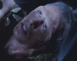 Robert Allen Colaizzi, Jr.