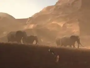 Young Michael Burnham imagines elephants roaming Africa as part of a story