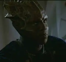 ...as an Elloran officer