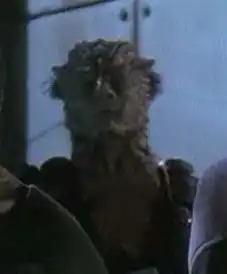 ...as a Jem'Hadar guard