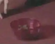 Feline supplement 127