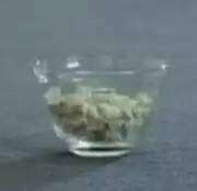 Feline supplement 74