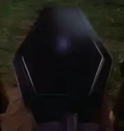 Felisa howards coffin