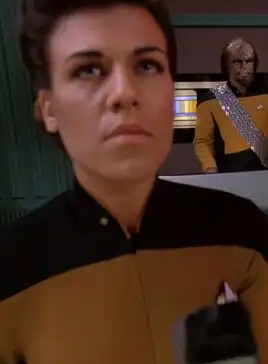 ... as a security ensign