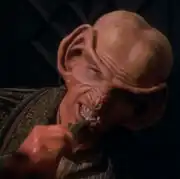 Ferengi beetle