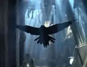 Flying raven
