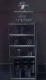 Fortunate infirmary shelf