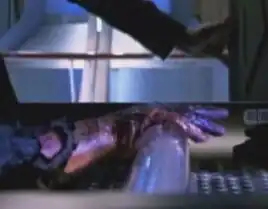 The burned remains of Darwin