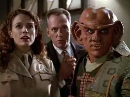 Garland Carlson Quark