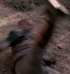 Gerard Williams, Darmok