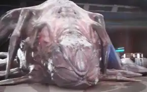 Close-up view of a gormagander