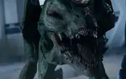 Gorn hatchling's teeth