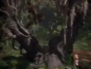 Guiding Tree naomi dream