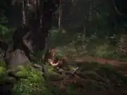 Guiding tree in the Great Forest