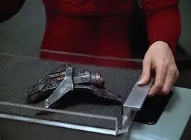 Hallie Singleton, The Gift