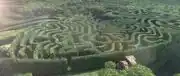 Hedge maze