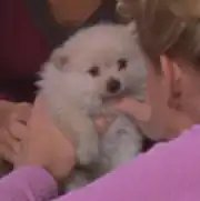 Henry, deleted scene