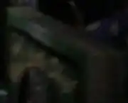 Hey! Hey! Little Ship!