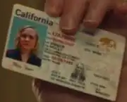Holly Eva Visser's driver's license