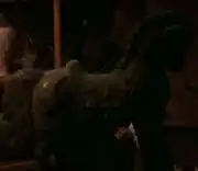 Horse statue at P'Jem 1