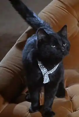 Isis, Gary Seven's cat and partner