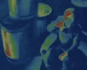 Surveillance of a Jelinian male (2377)