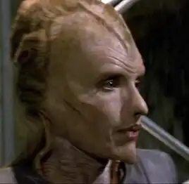 Jisa, a Vaadwaur female (1484)