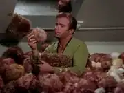The Trouble with Tribbles