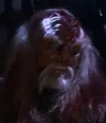 Klingon Bird-of-Prey captain, 2154