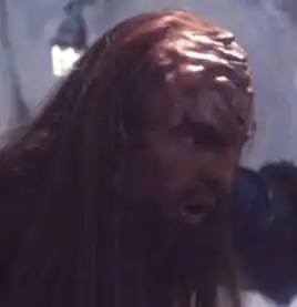 ...as a Klingon guard