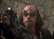 Klingon tricorder