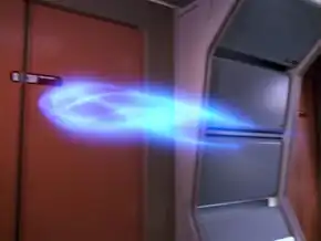 A non-corporeal Koinonian