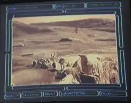 Kumagawa and Novakovich