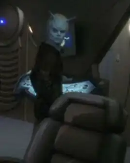 Kumari bridge officer 1