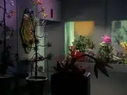 Life Sciences Department