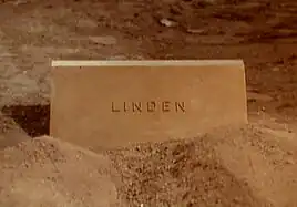 Linden (mother)
