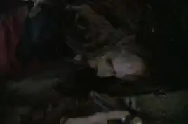 The remains of Lisa Cusak in 2374