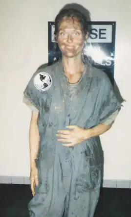 Lisa Pettett, Through the looking glass