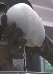 Lyssarrian desert larvae