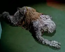 Nancy Crater (creature)