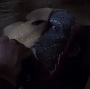 Unmasking a Malurian in 2151