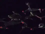 Martok's attack wing